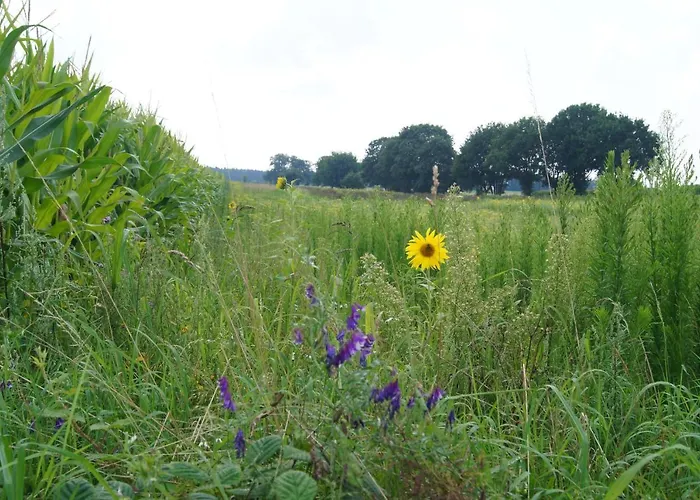 Hoeve Linnerveld Xl