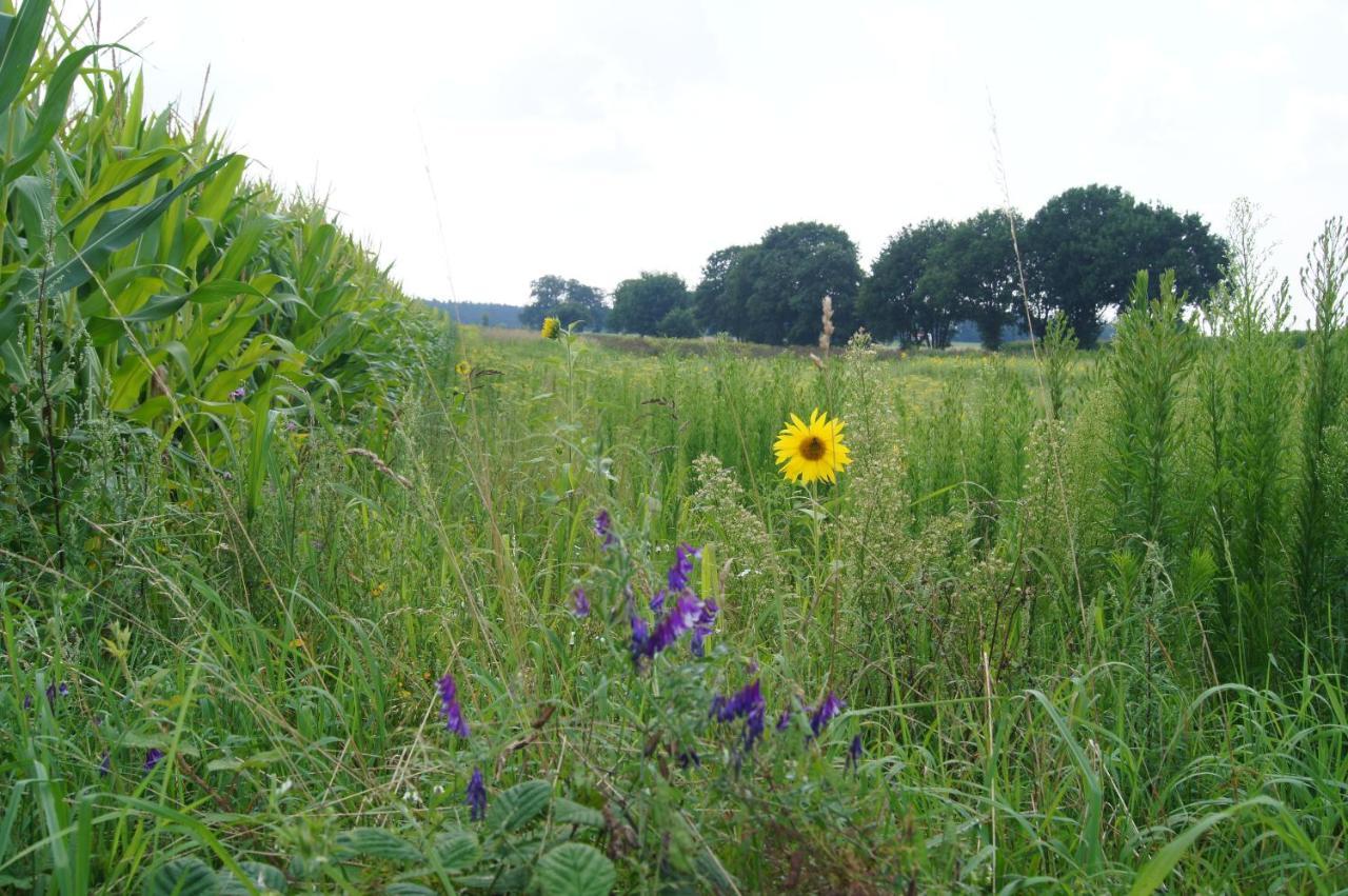 Hoeve Linnerveld Xl